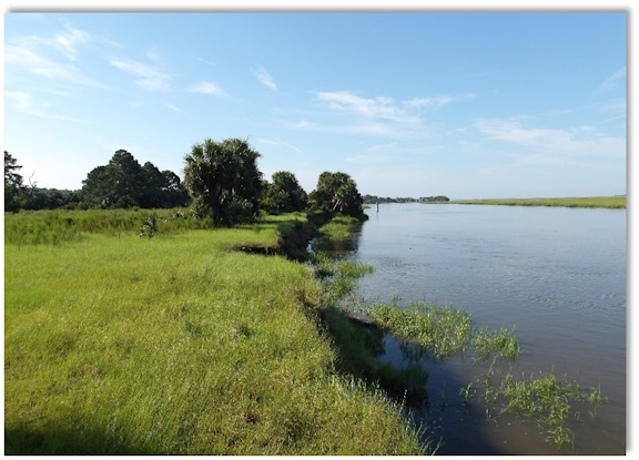 Floodplain Marsh